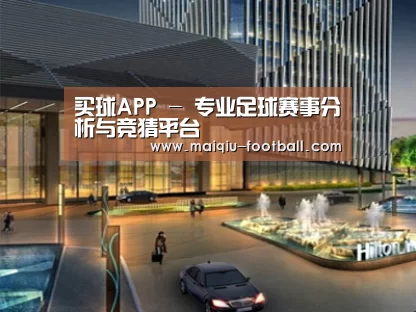 案例展示二(图1)