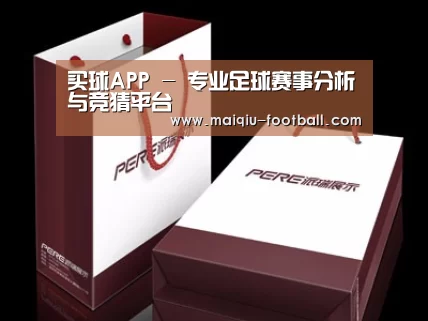 项目名称十二
